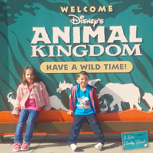 Animal Kingdom- Dittles and Papo